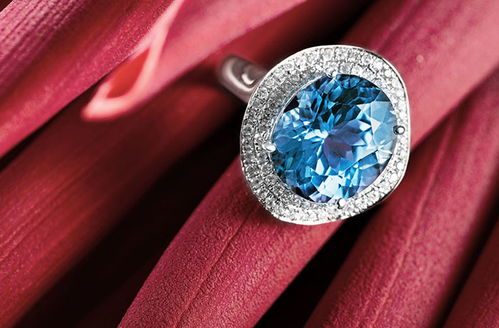 深圳专业摄影摄像服务 定格每一刻精彩瞬间