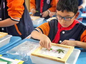 走进时光的珍藏 探秘非物质文化遗产馆的展览展示服务