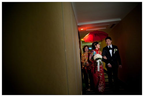 专业摄影服务 婚礼、产品与婚纱外影一站式解决方案